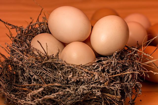 Al momento stai visualizzando Uova a confronto: gallina, anatra o quaglia. E sulla presenza  del colesterolo l’esperta dice che…
